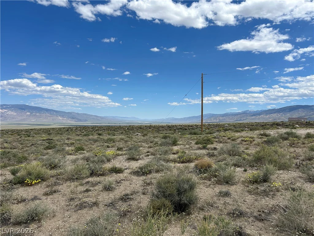 510 GILLUM, Dyer, NV 89010