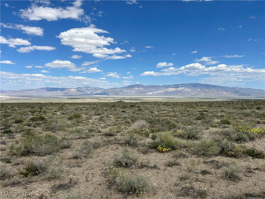 510 GILLUM, Dyer, NV 89010