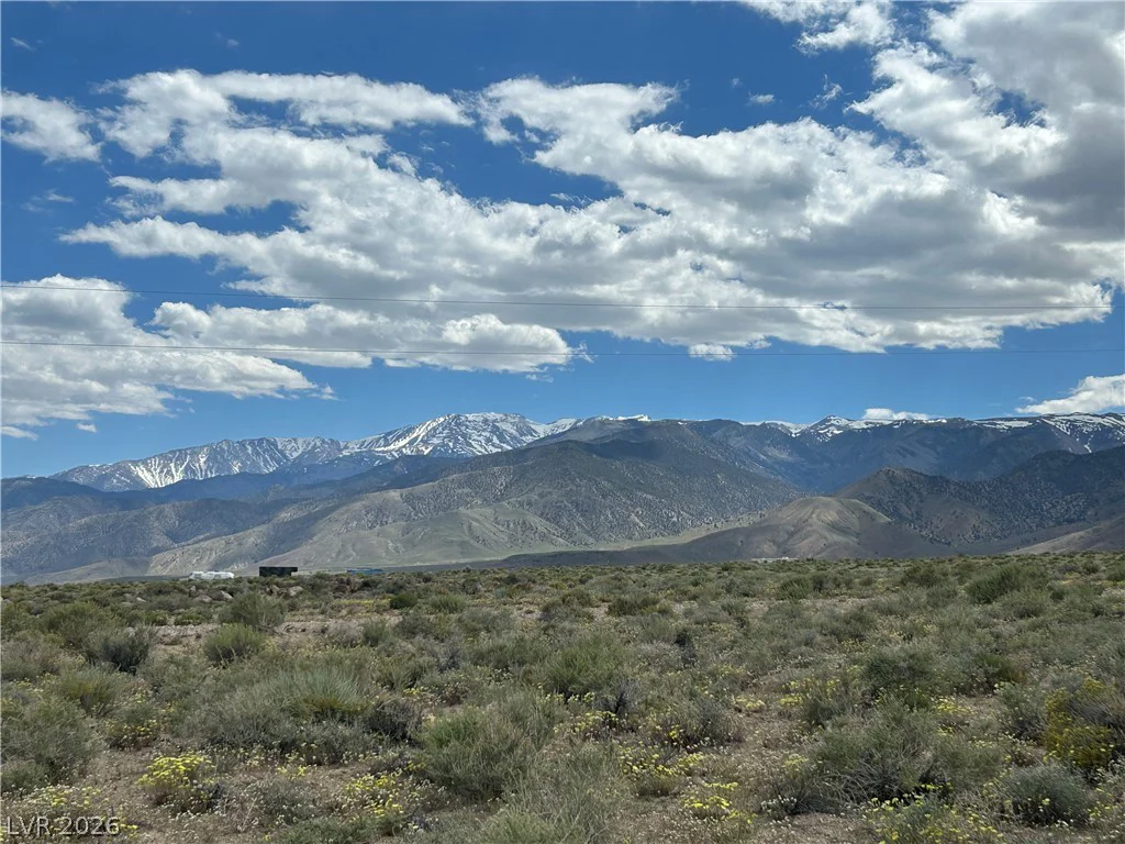 510 GILLUM, Dyer, NV 89010