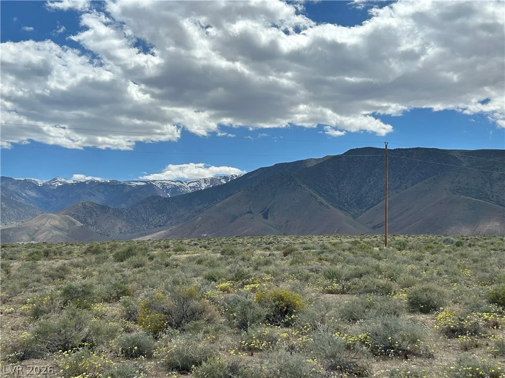 510 GILLUM, Dyer, NV 89010