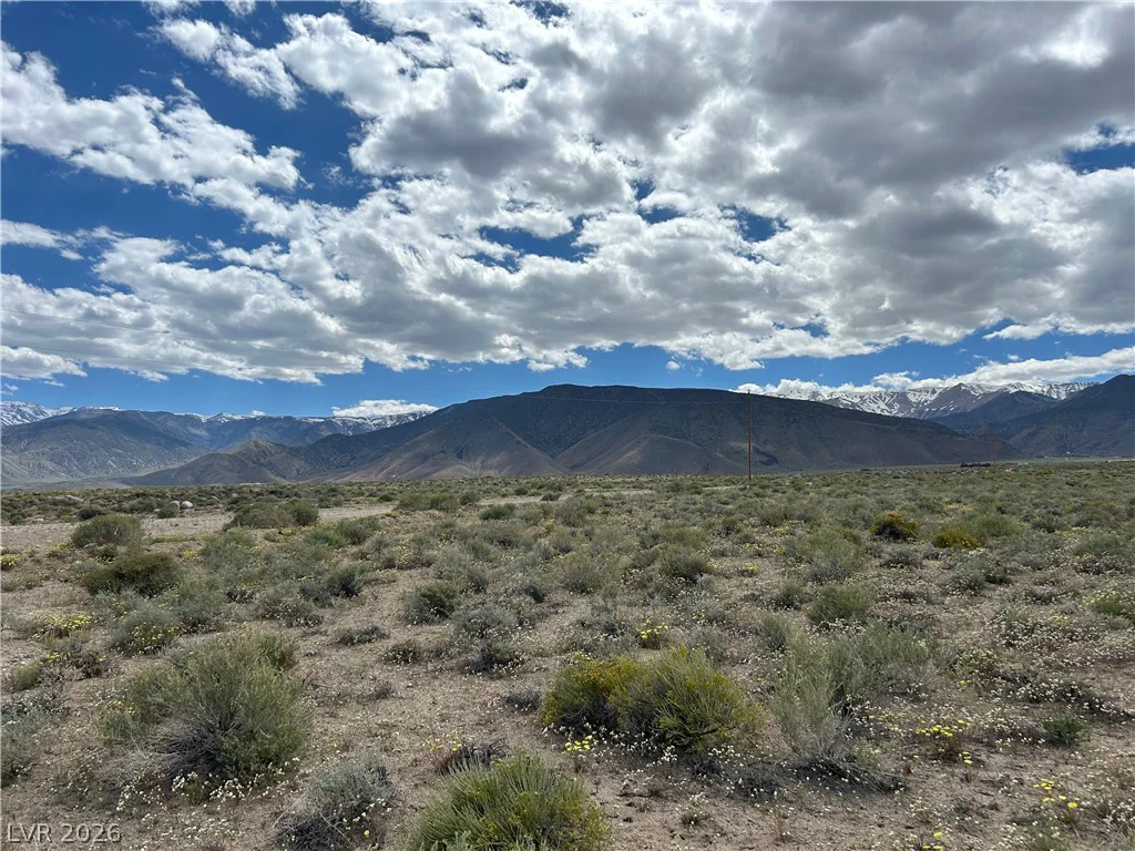 510 GILLUM, Dyer, NV 89010