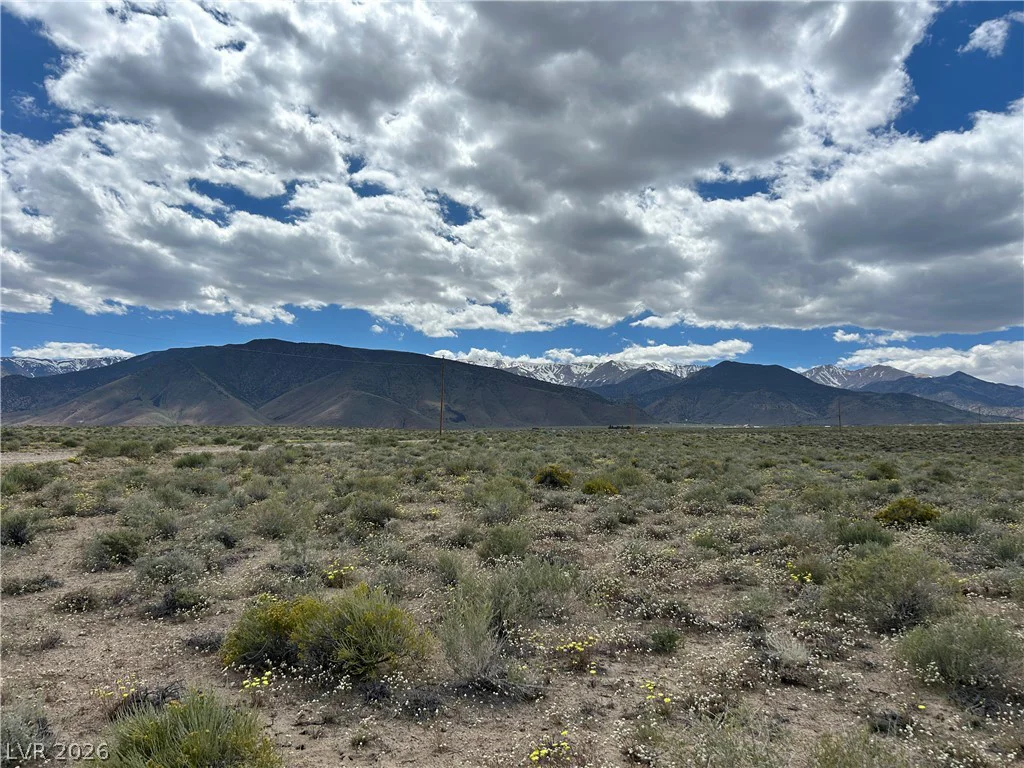510 GILLUM, Dyer, NV 89010