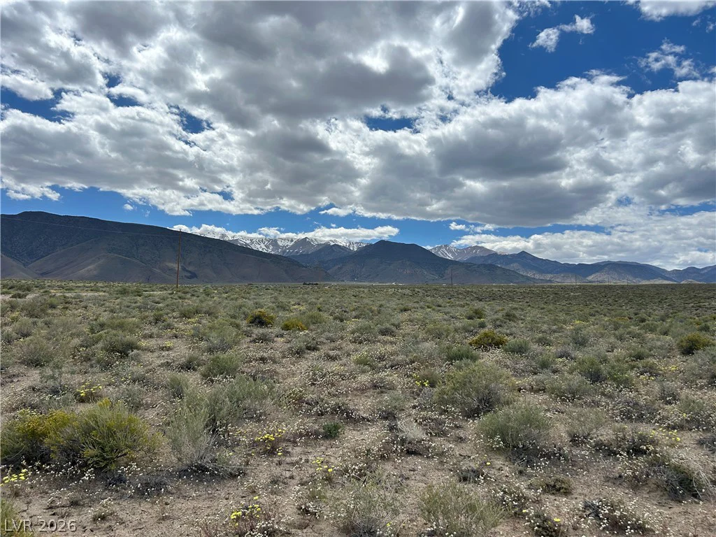 510 GILLUM, Dyer, NV 89010