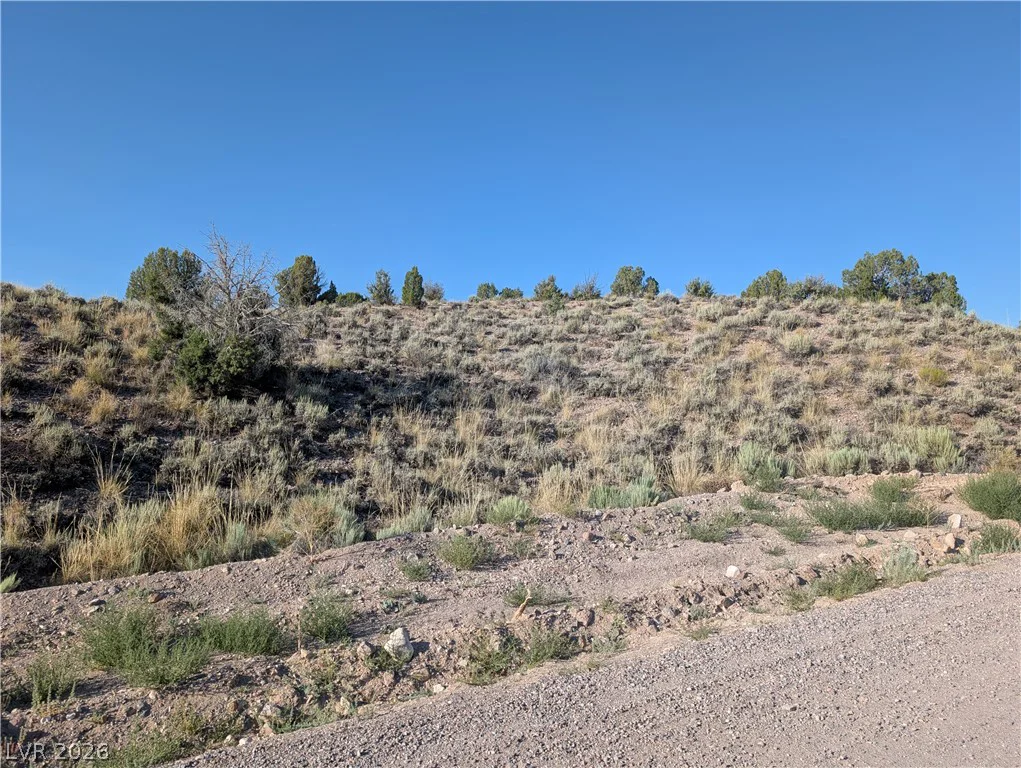 Mabel Trail (3.12 Acres), Caliente, NV 89008