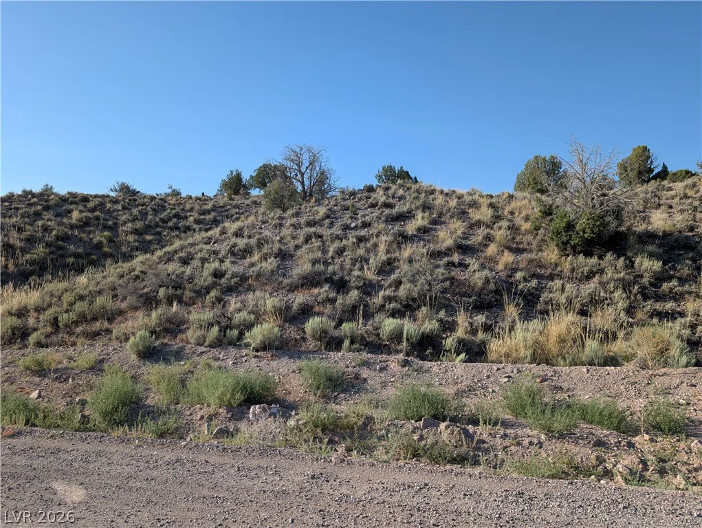 Mabel Trail (3.12 Acres), Caliente, NV 89008