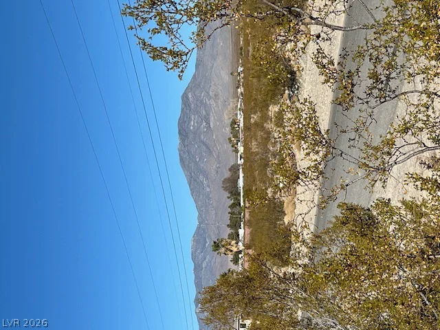 1820 Omaha, Pahrump, NV 89048