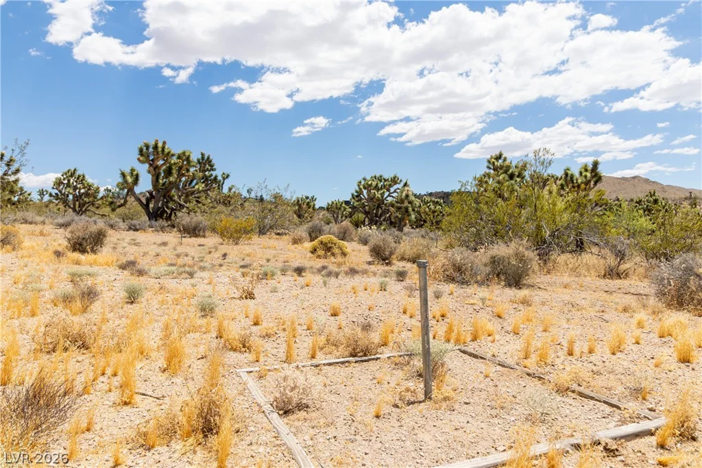 Rocking S Ranch Rd, Searchlight, NV 89046