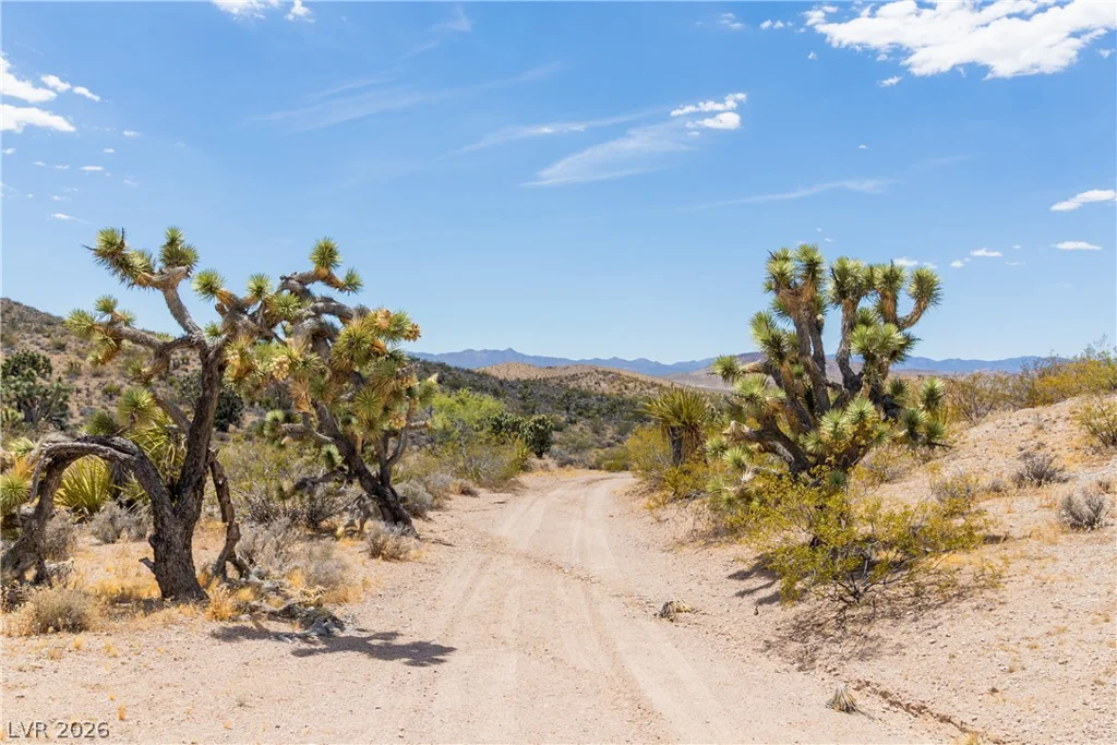 Rocking S Ranch Rd, Searchlight, NV 89046