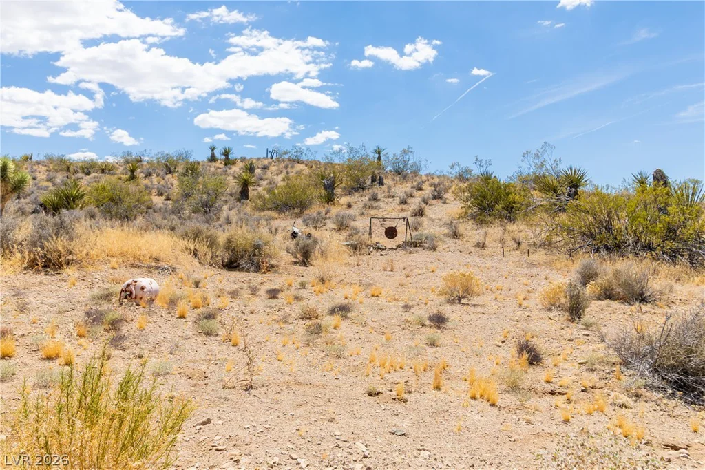 Rocking S Ranch Rd, Searchlight, NV 89046