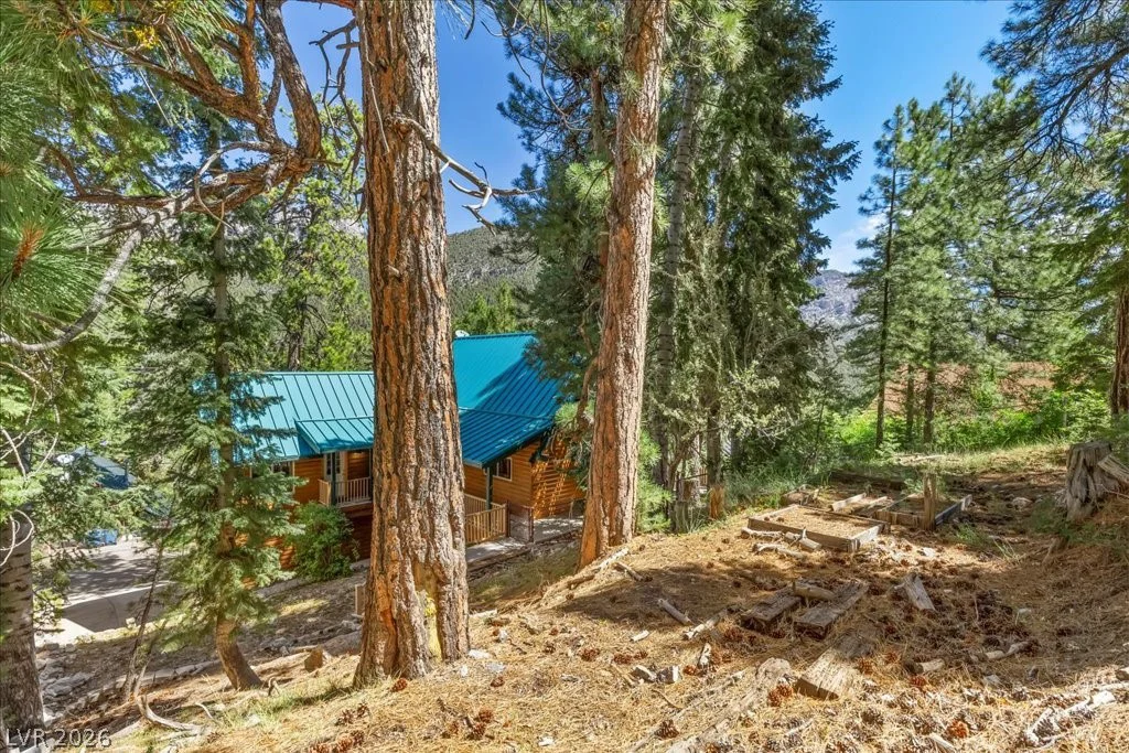 370 Alpine, Mount Charleston, NV 89124