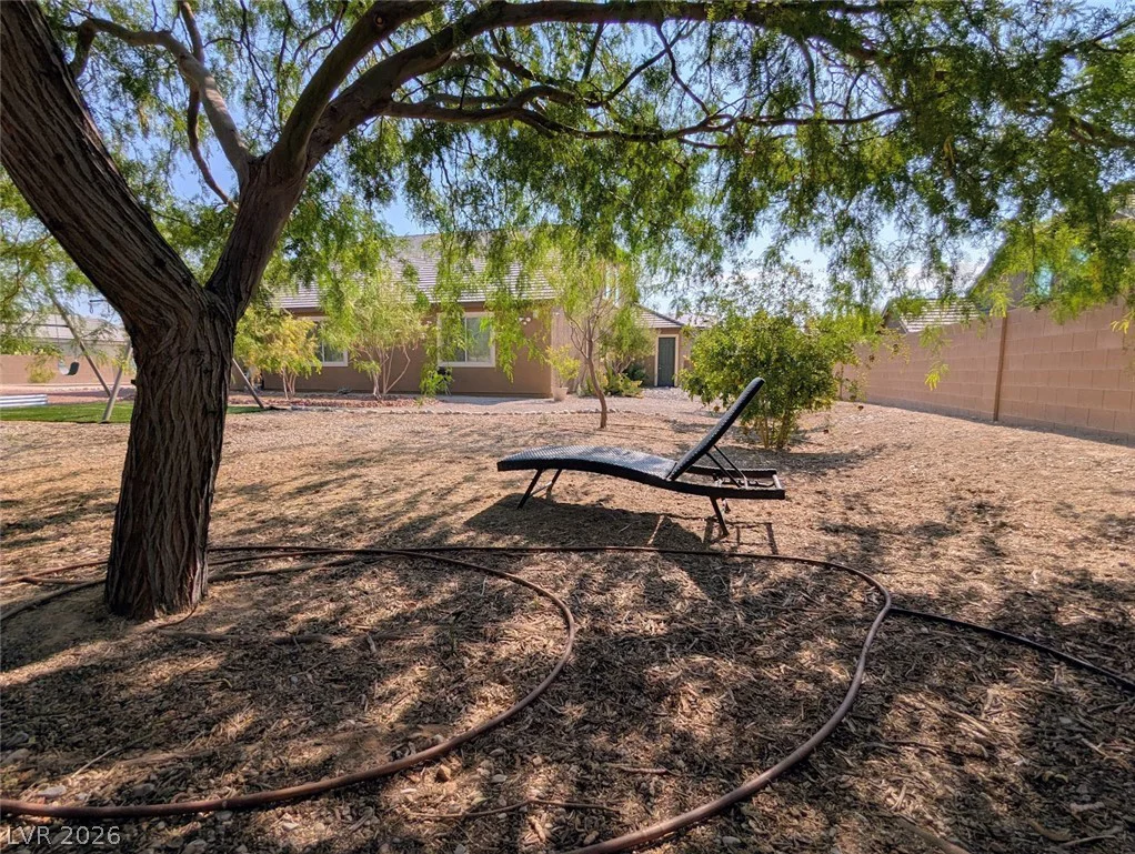 4895 Al Carrison, Las Vegas, NV 89149