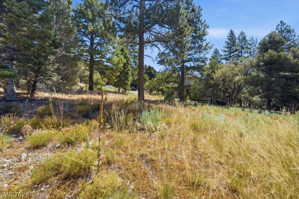 248 Crestview, Mount Charleston, NV 89124