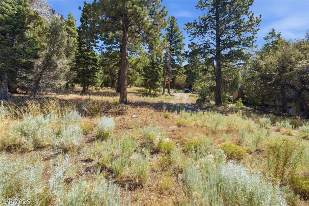 248 Crestview, Mount Charleston, NV 89124
