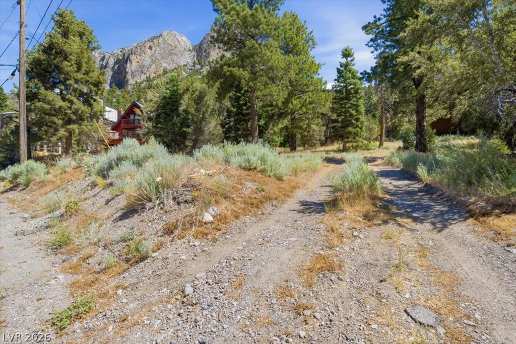248 Crestview, Mount Charleston, NV 89124