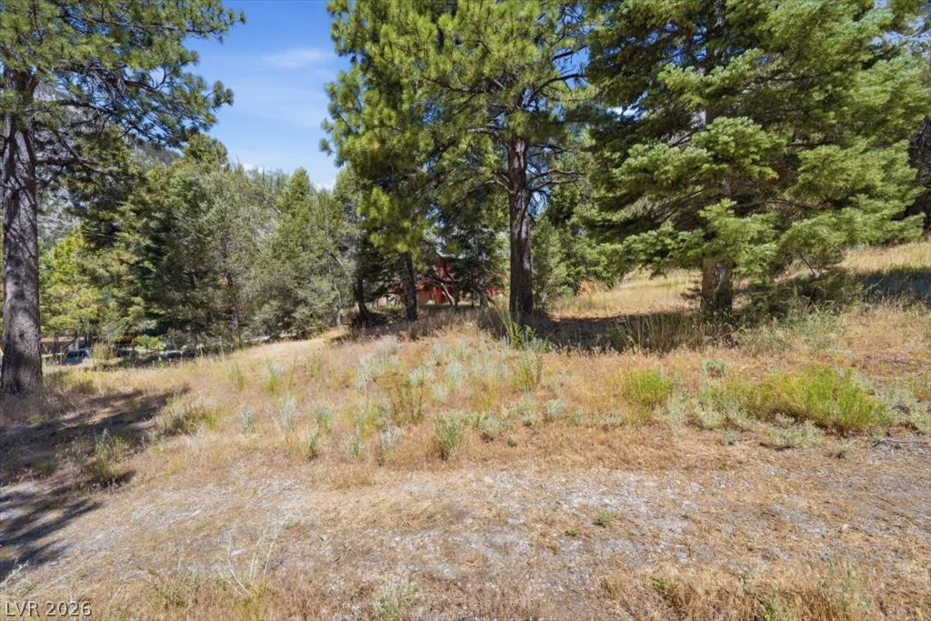 248 Crestview, Mount Charleston, NV 89124