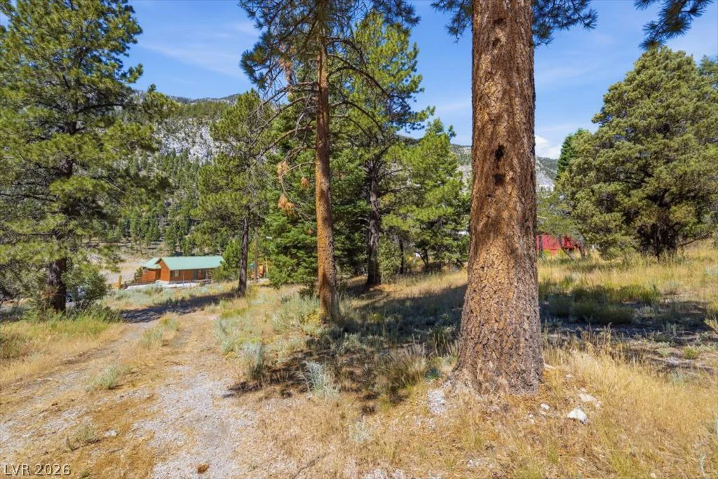 248 Crestview, Mount Charleston, NV 89124