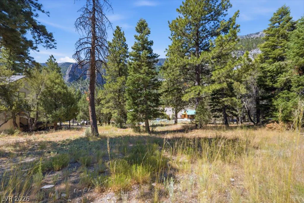 248 Crestview, Mount Charleston, NV 89124