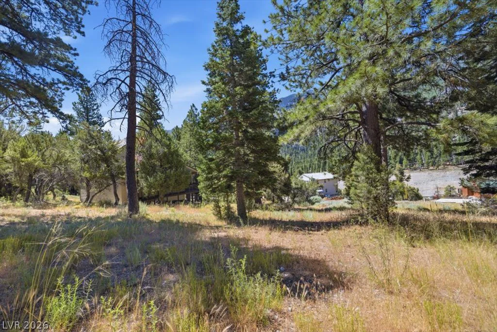 248 Crestview, Mount Charleston, NV 89124