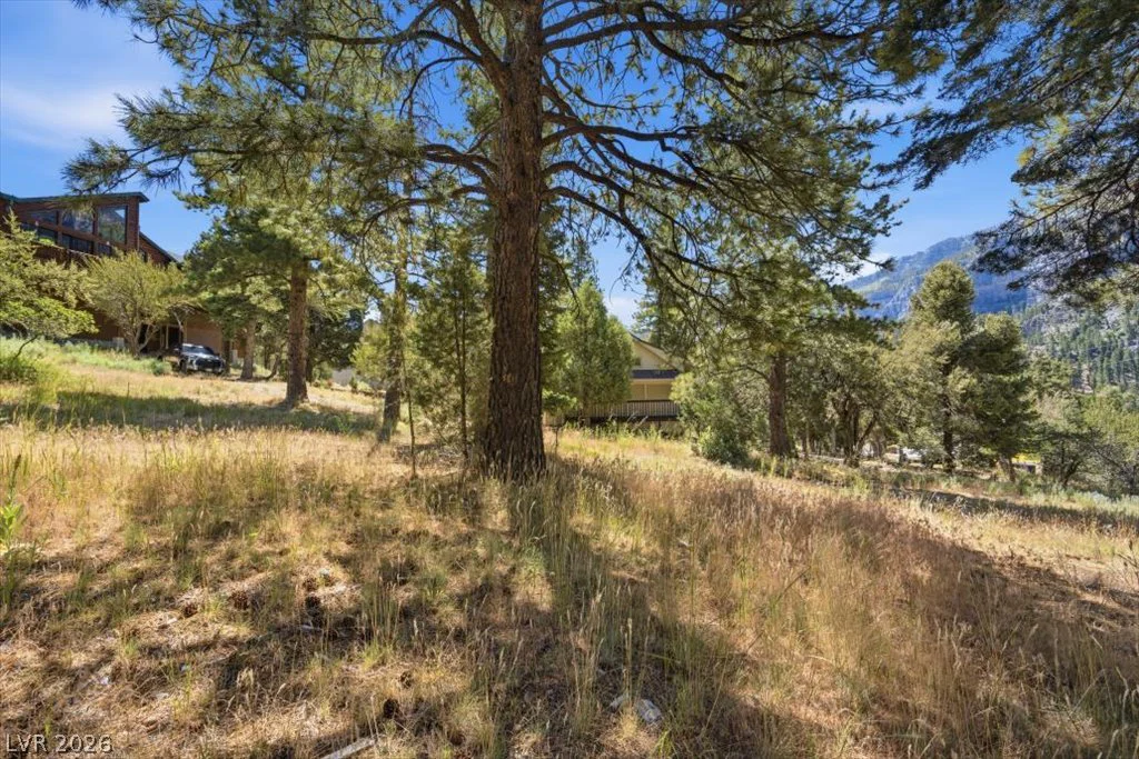 248 Crestview, Mount Charleston, NV 89124
