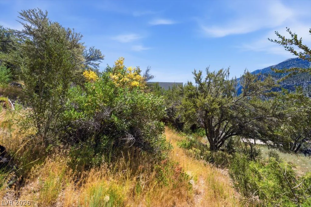 440 Crestview, Mount Charleston, NV 89124
