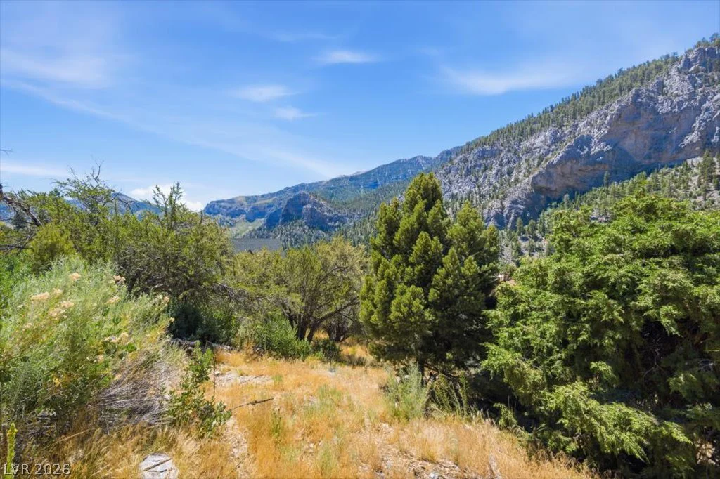 440 Crestview, Mount Charleston, NV 89124