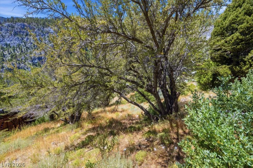440 Crestview, Mount Charleston, NV 89124