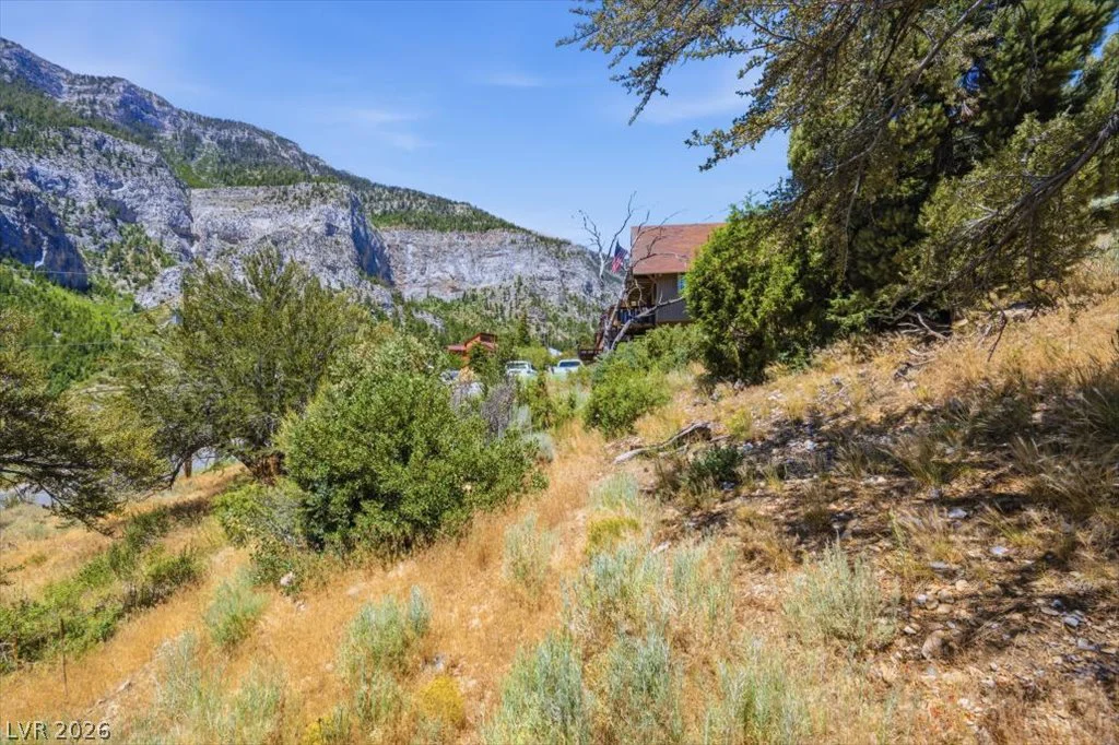440 Crestview, Mount Charleston, NV 89124