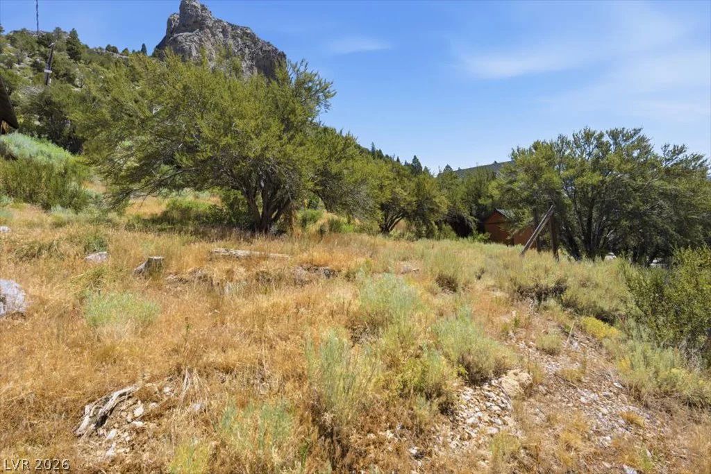 440 Crestview, Mount Charleston, NV 89124