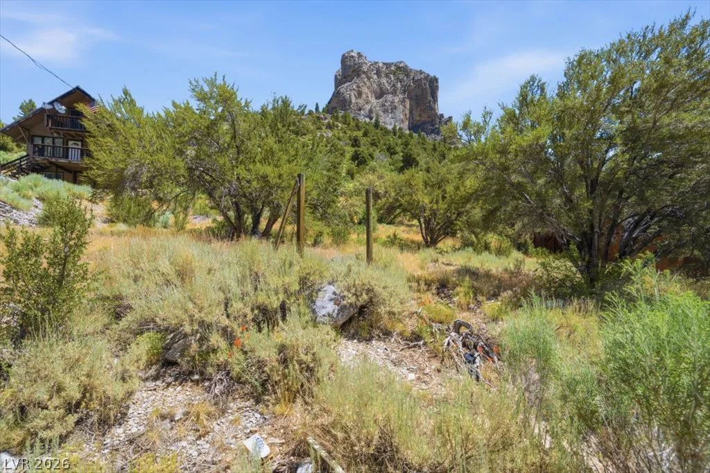 440 Crestview, Mount Charleston, NV 89124