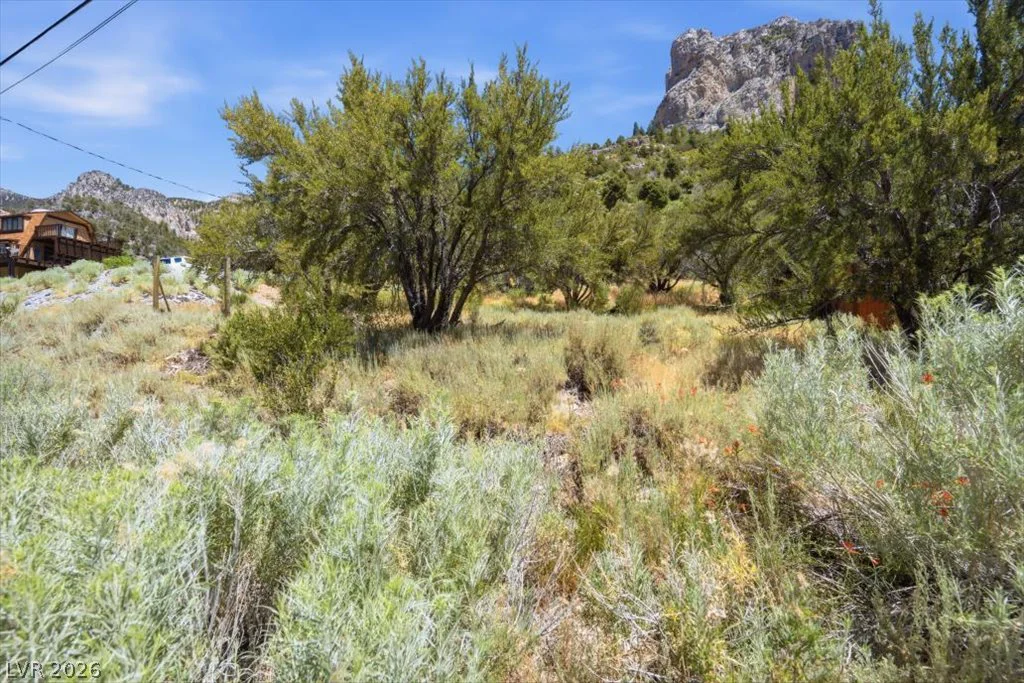 440 Crestview, Mount Charleston, NV 89124