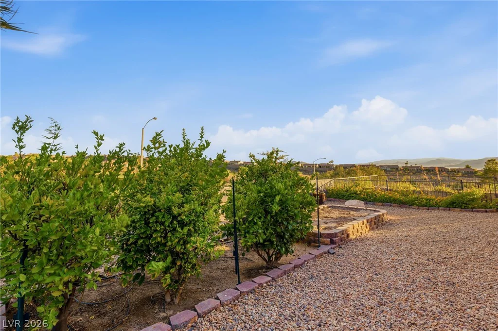 1899 Morganton, Henderson, NV 89052