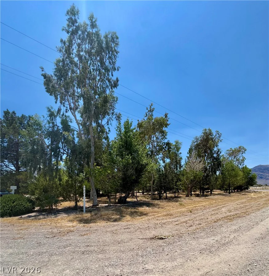 925 Bettles, Amargosa Valley, NV 89020