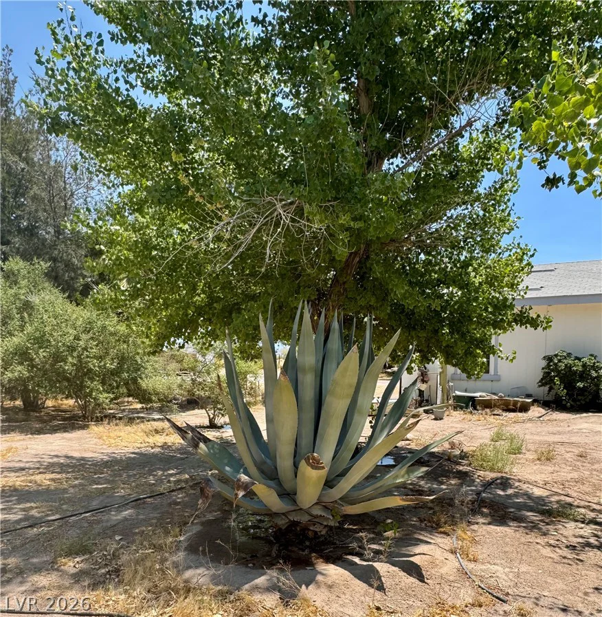 925 Bettles, Amargosa Valley, NV 89020