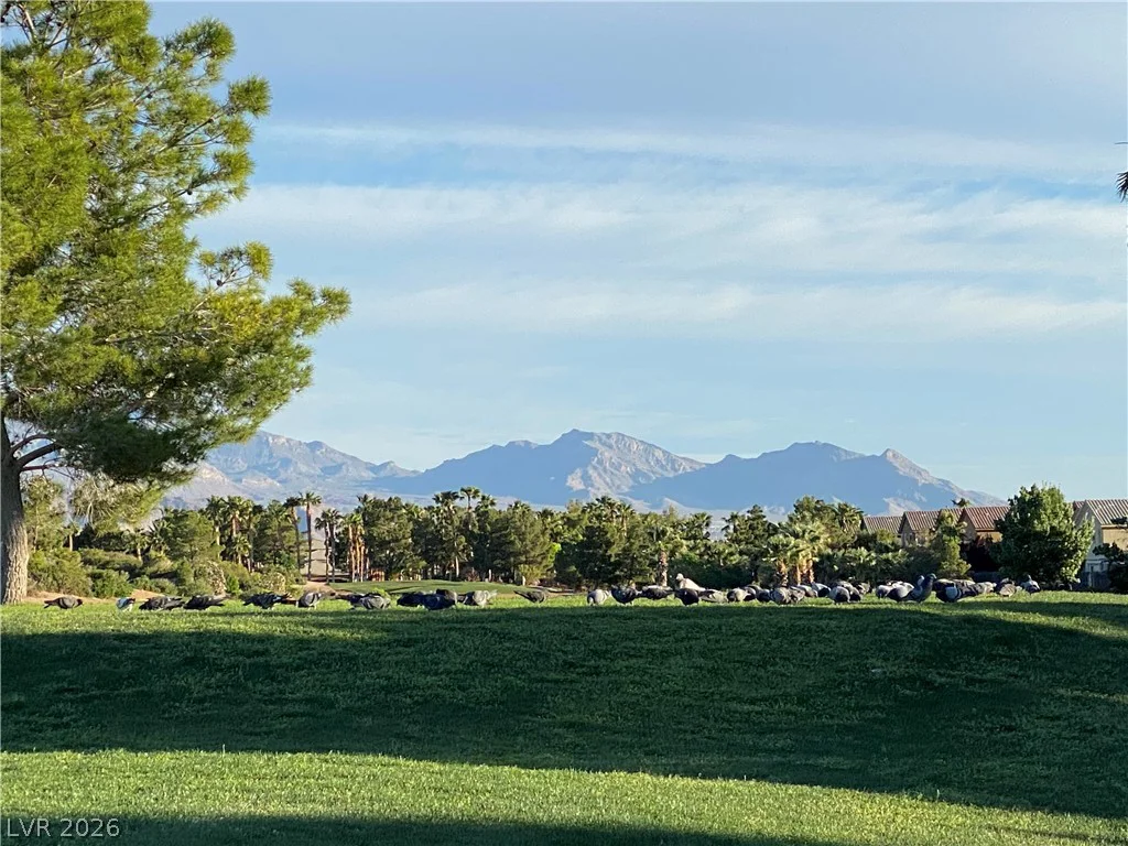 386 Apple River, Las Vegas, NV 89148