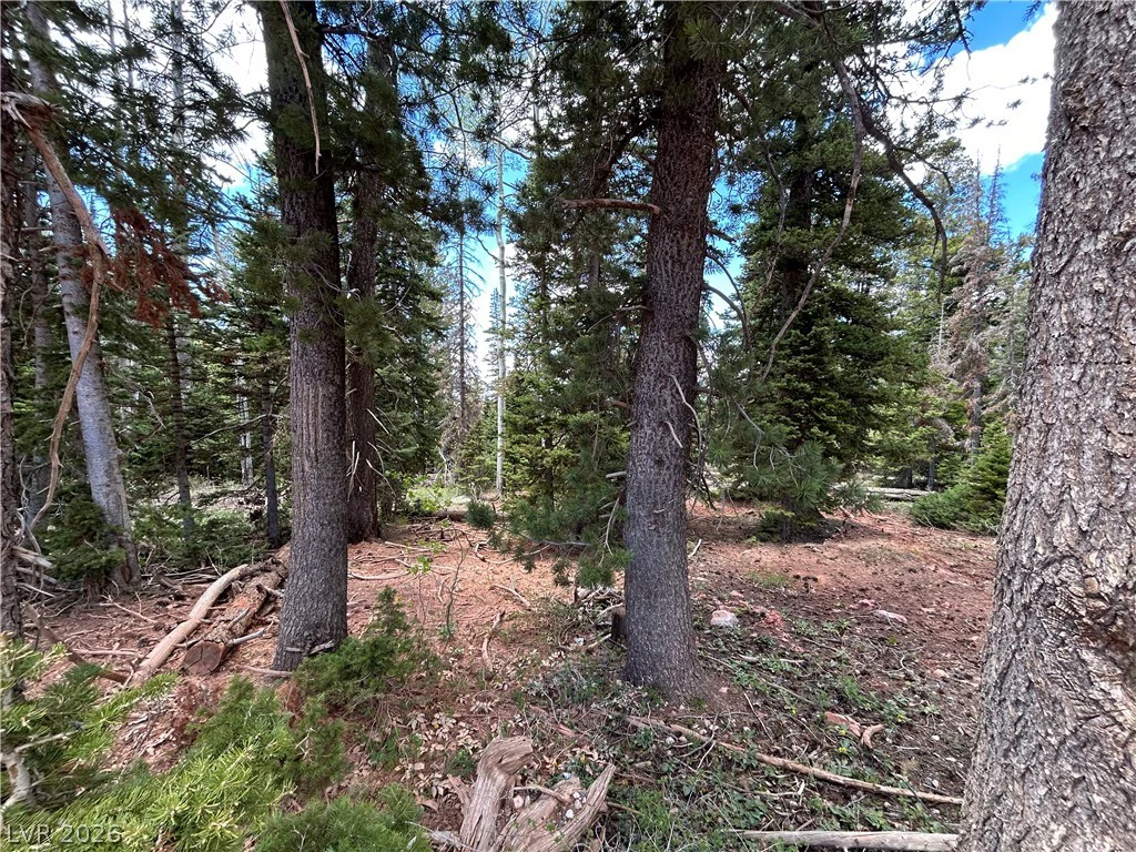 314 Toboggan, Brian Head, UT 84719