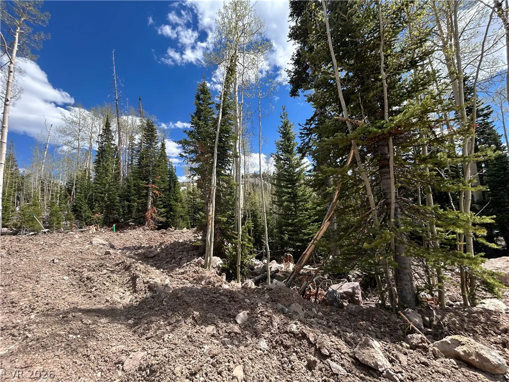 314 Toboggan, Brian Head, UT 84719