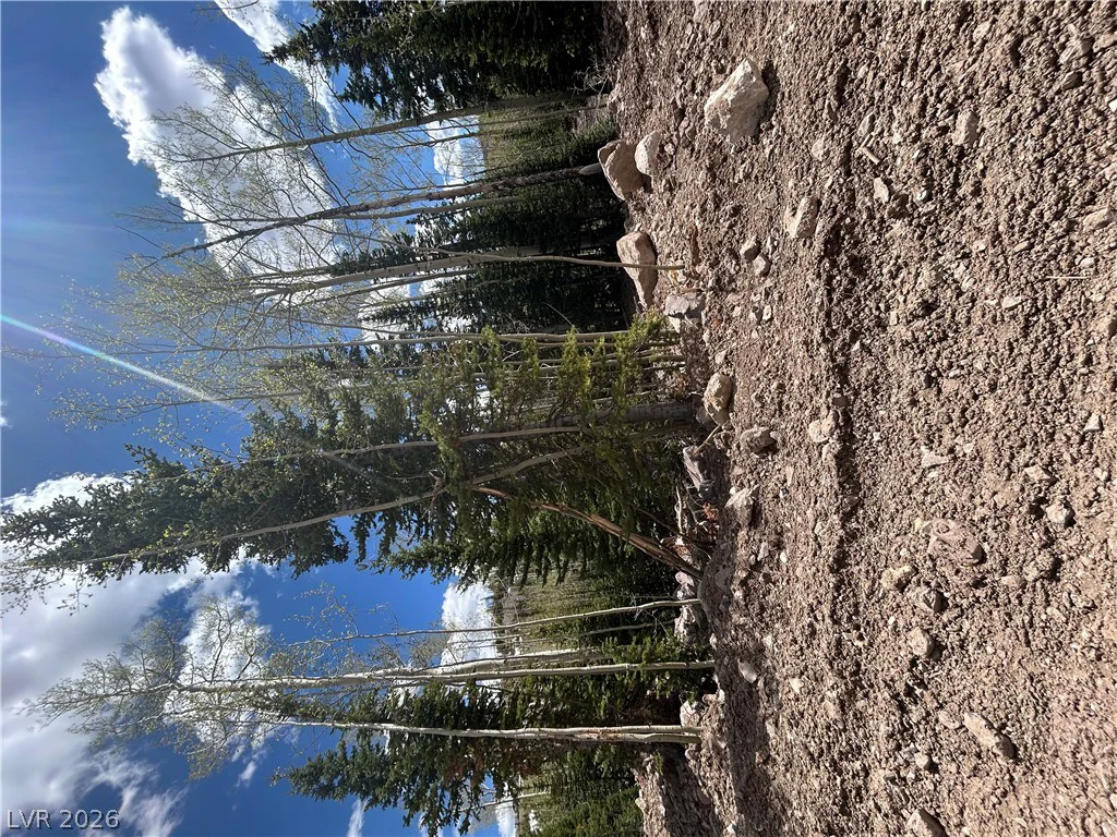 314 Toboggan, Brian Head, UT 84719
