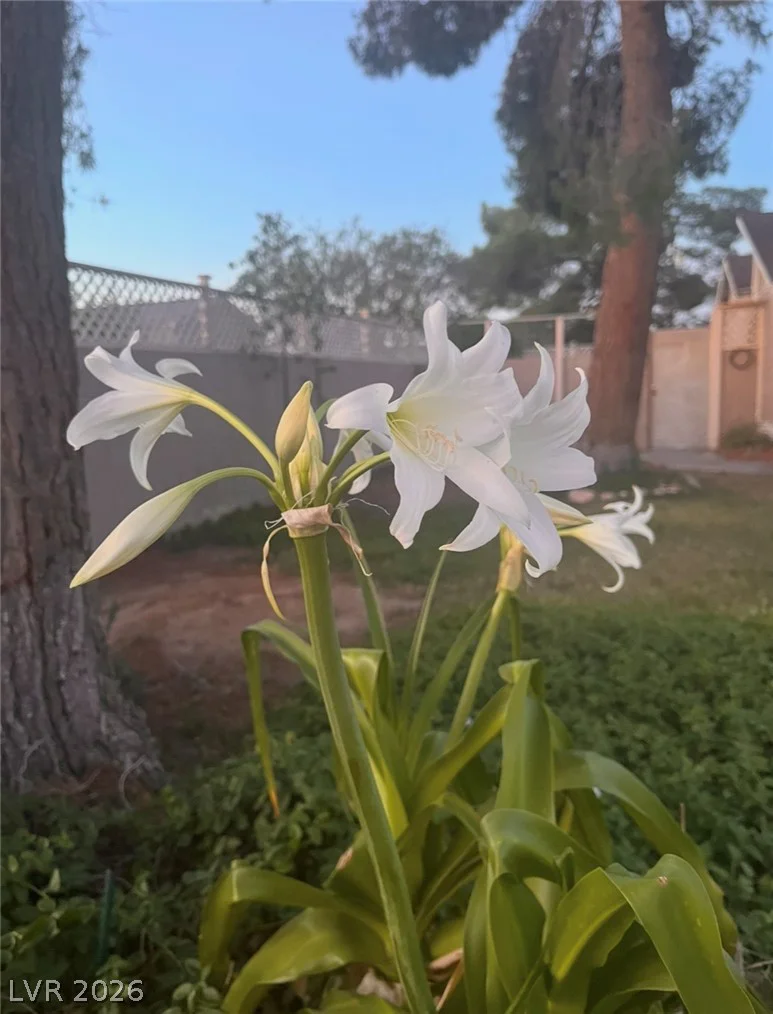 2612 Casey, Las Vegas, NV 89120
