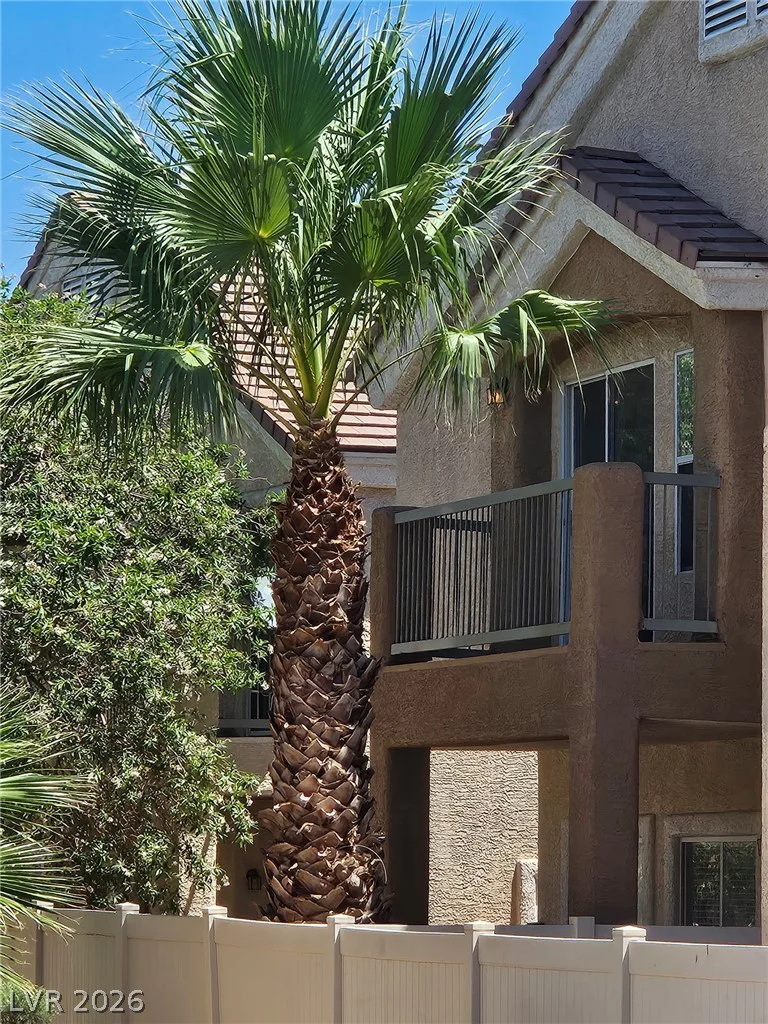79 Stock Option, Henderson, NV 89074