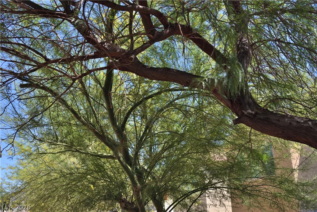 712 Oak Hills Course, Las Vegas, NV 89148