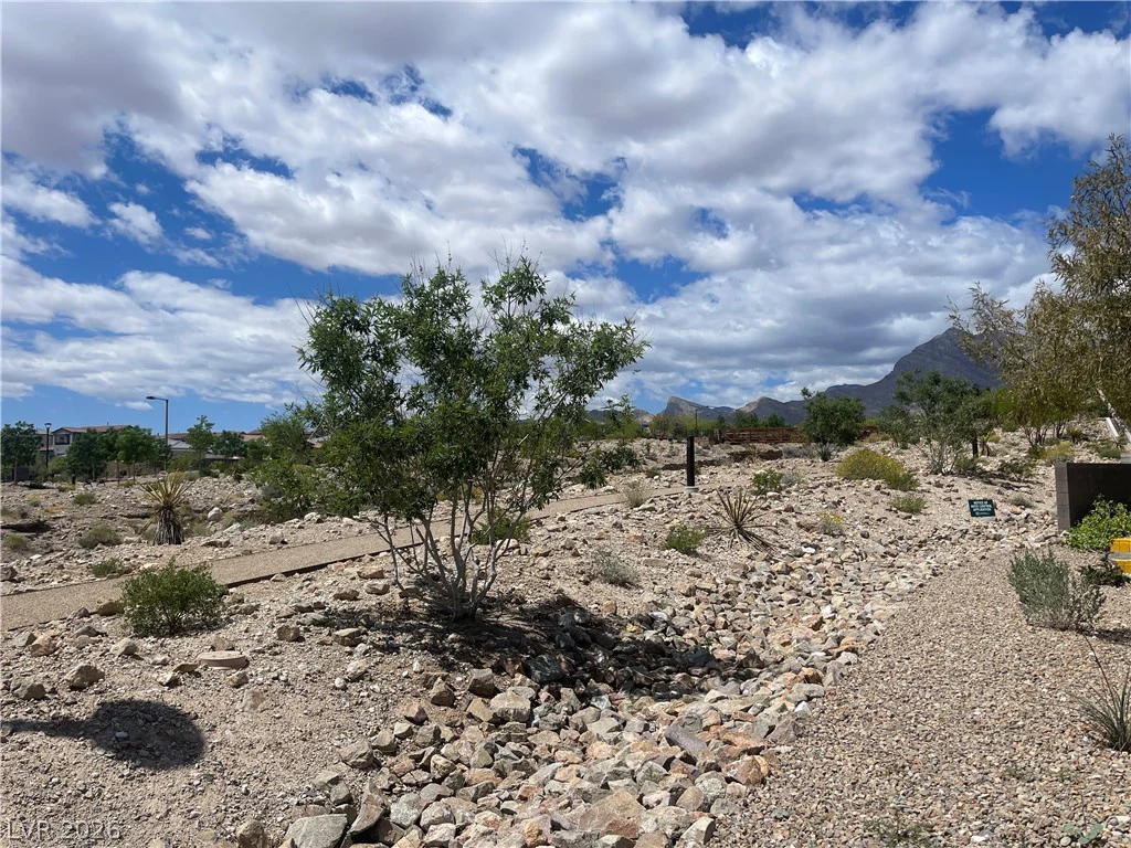 11593 Cedar Shore, Las Vegas, NV 89138