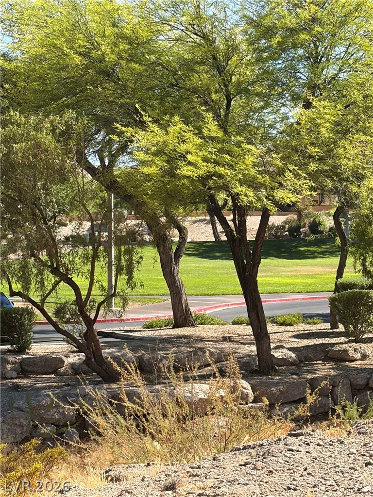 1901 Rio Canyon, Las Vegas, NV 89128