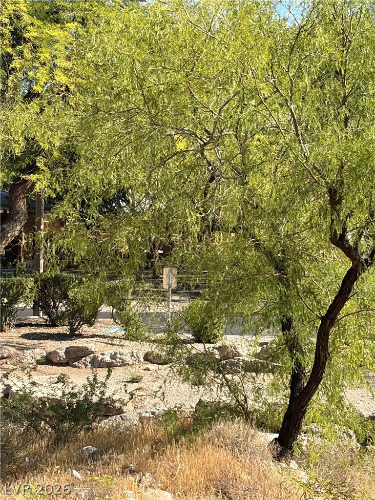 1901 Rio Canyon, Las Vegas, NV 89128