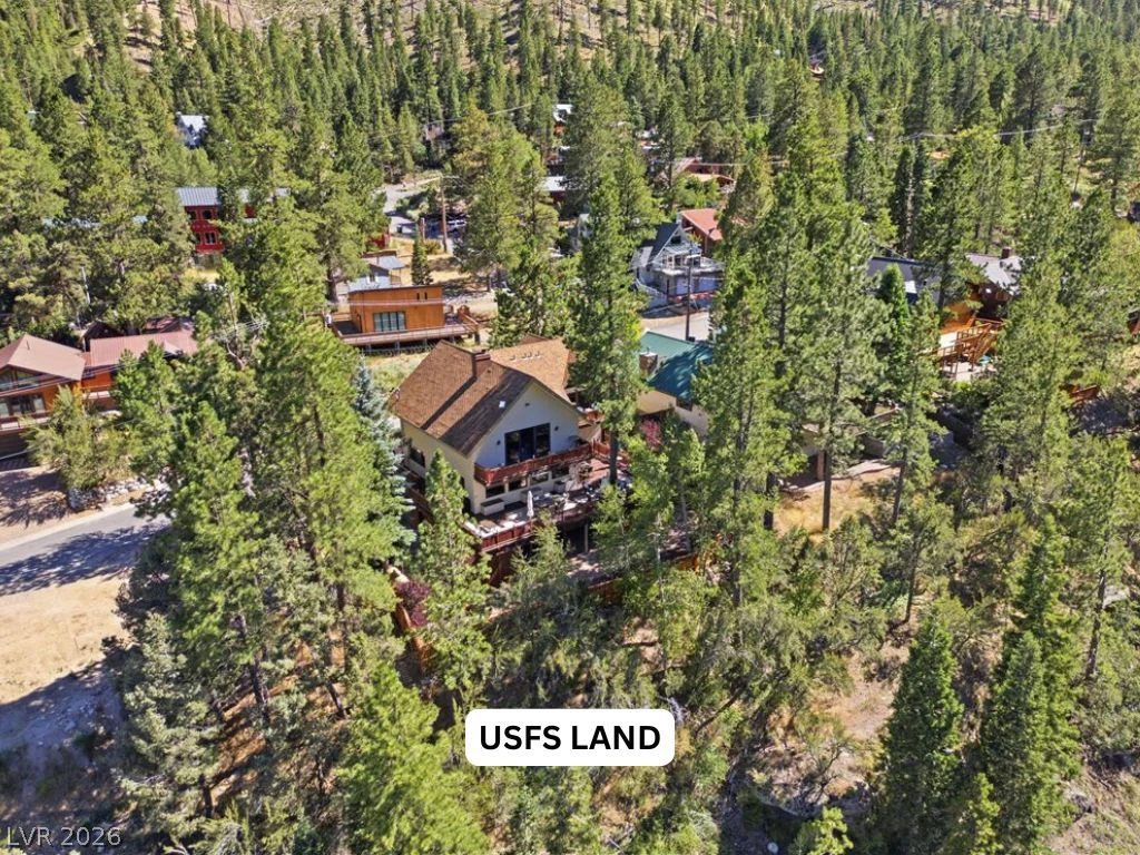 3940 White Fir, Mount Charleston, NV 89124