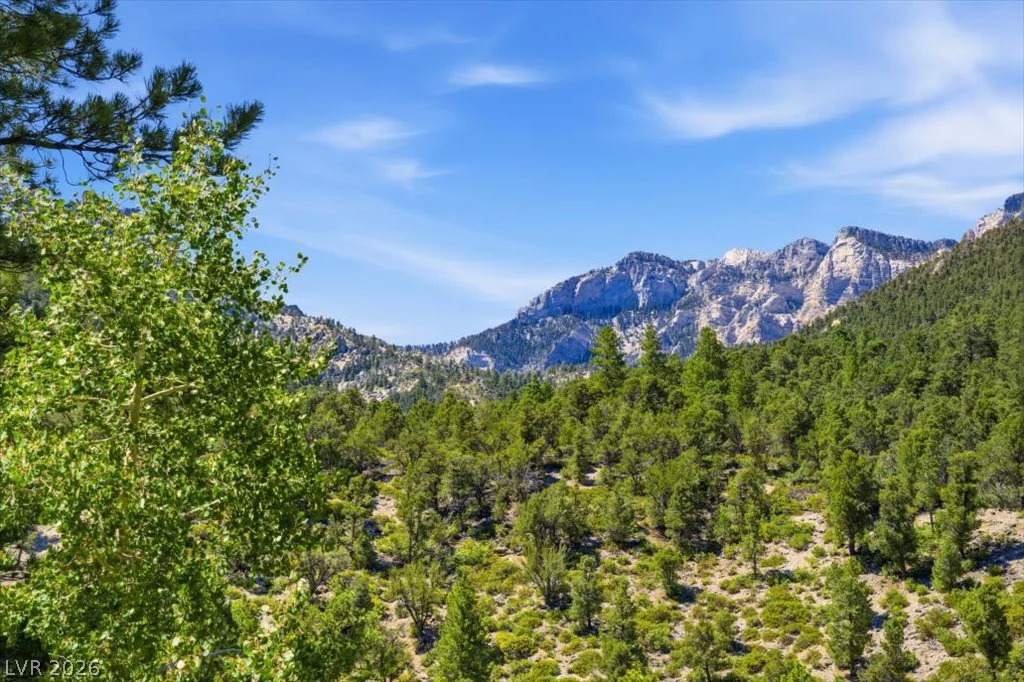 3940 White Fir, Mount Charleston, NV 89124