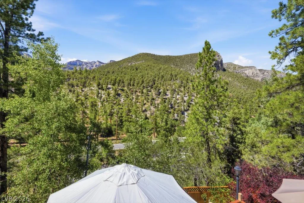 3940 White Fir, Mount Charleston, NV 89124