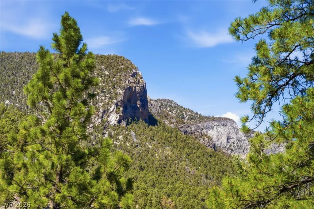 3940 White Fir, Mount Charleston, NV 89124