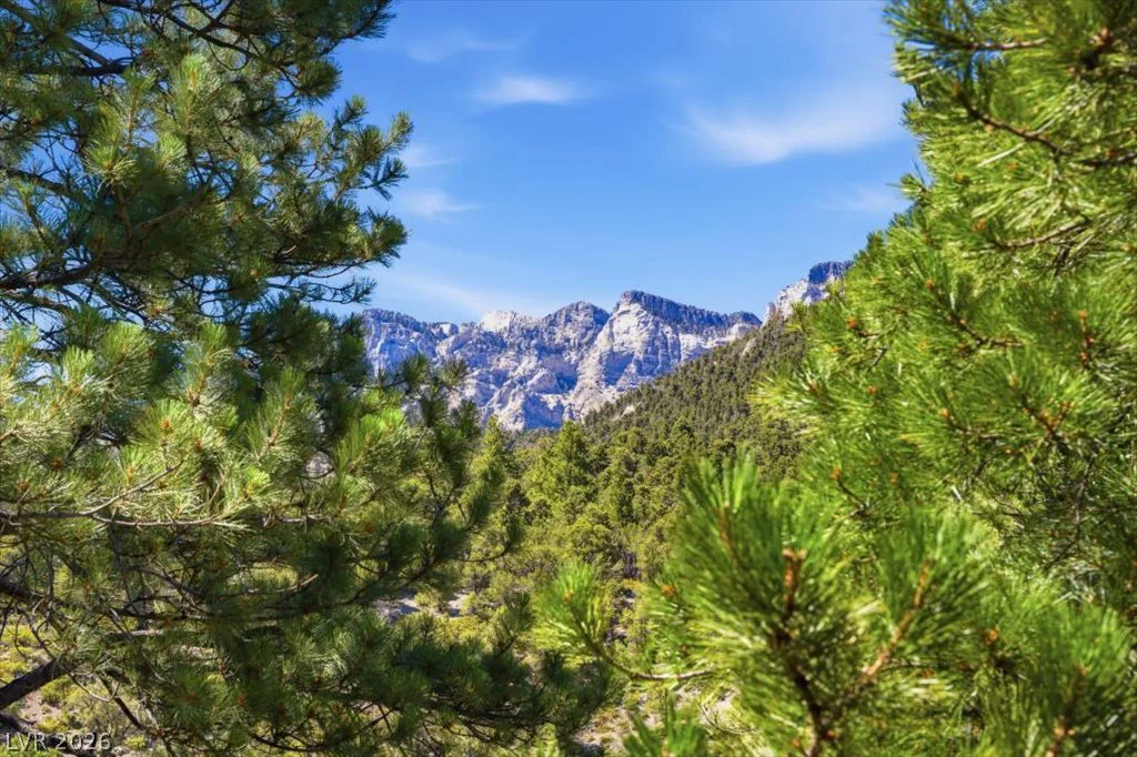 3940 White Fir, Mount Charleston, NV 89124