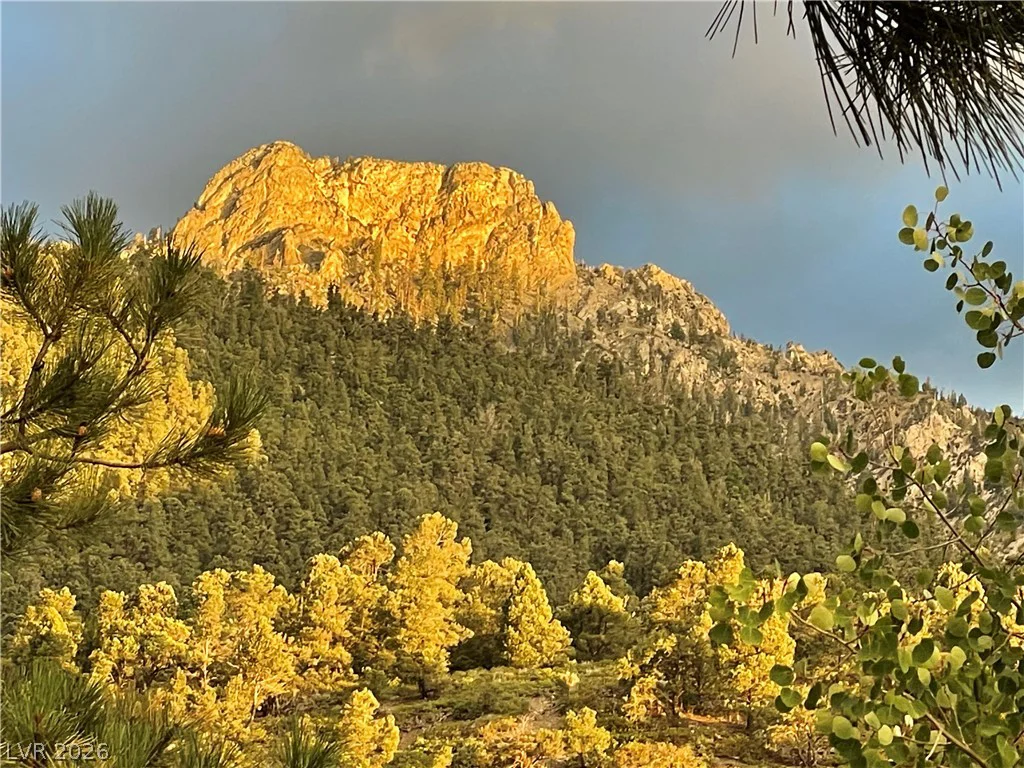 3940 White Fir, Mount Charleston, NV 89124