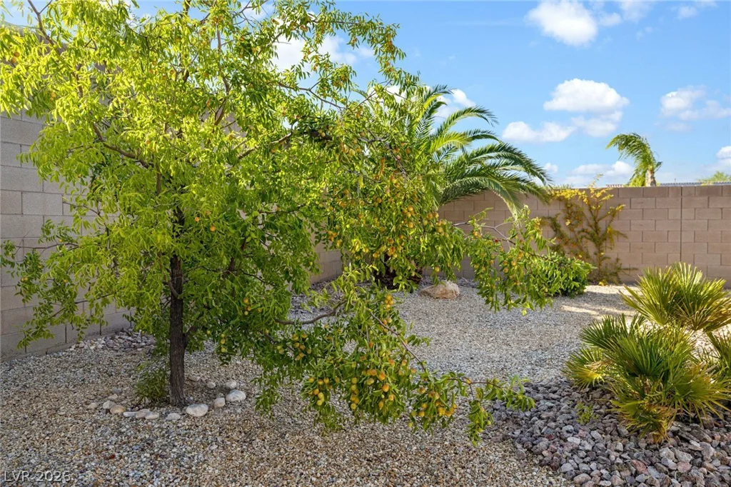 8985 Tomsik, Las Vegas, NV 89113